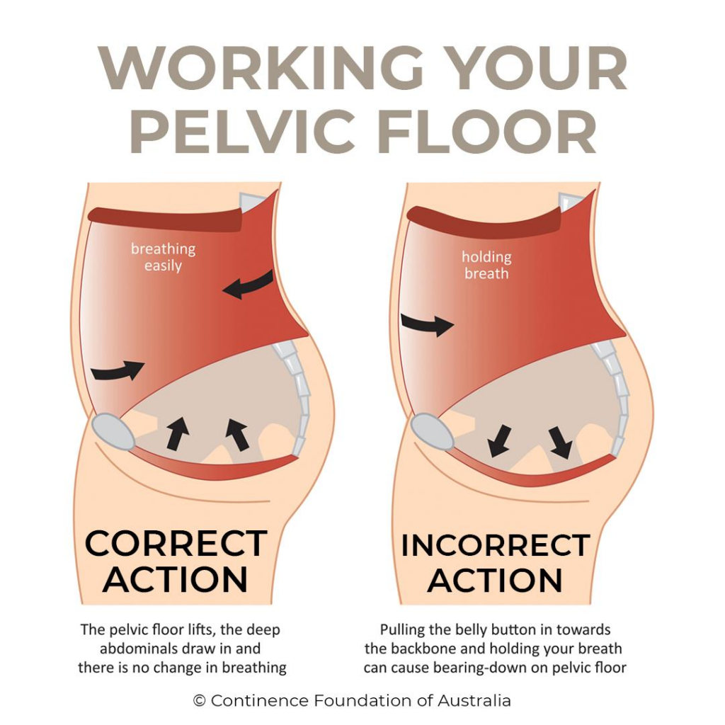 Mythbusters! Pelvic Floor Edition Part 1 | Up and Running PT