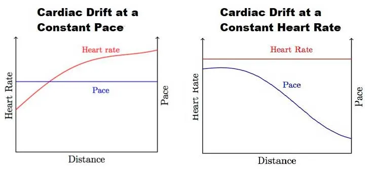 cardiac drift
