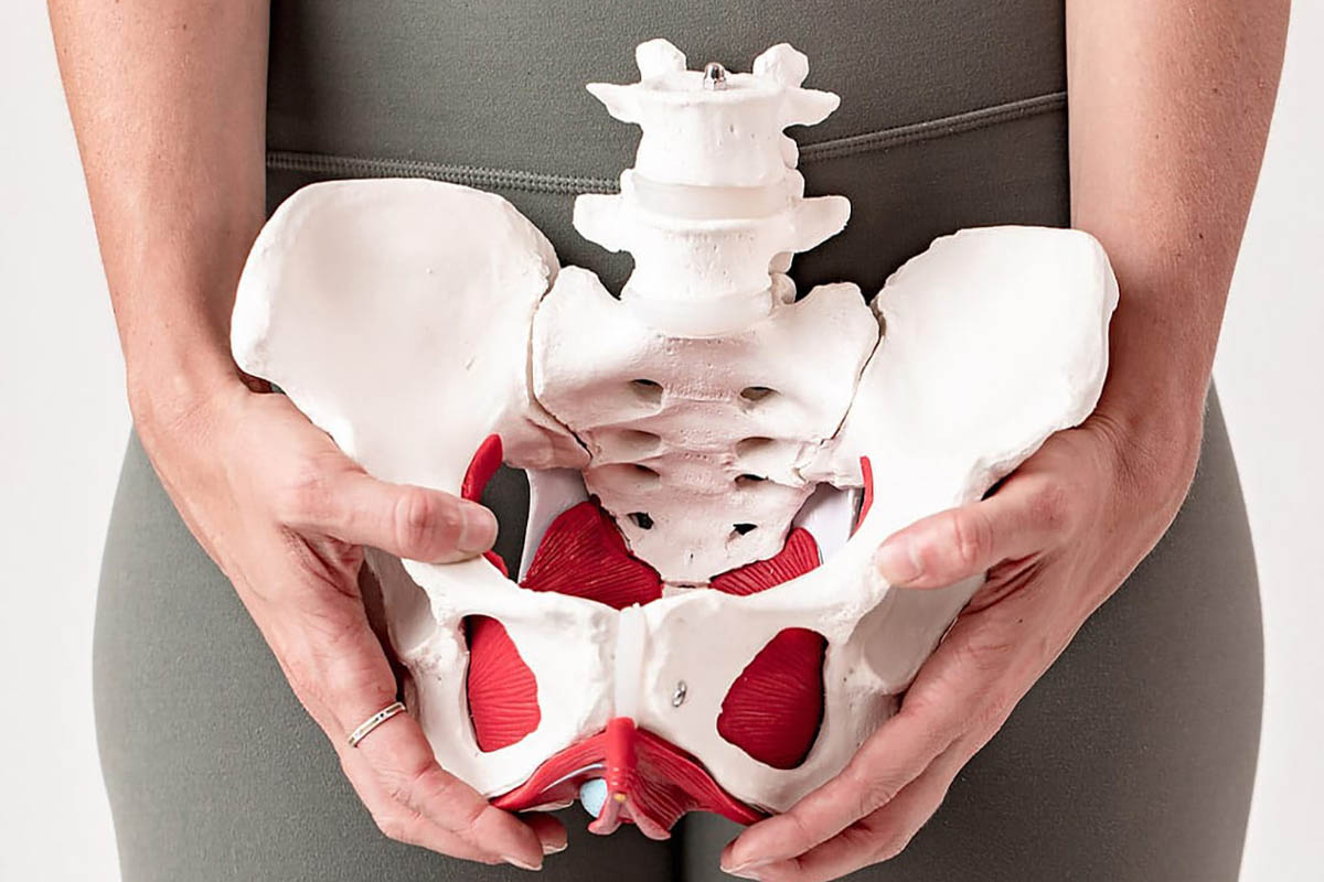 What is Pelvic Floor Physiotherapy? Benefits & How It Works