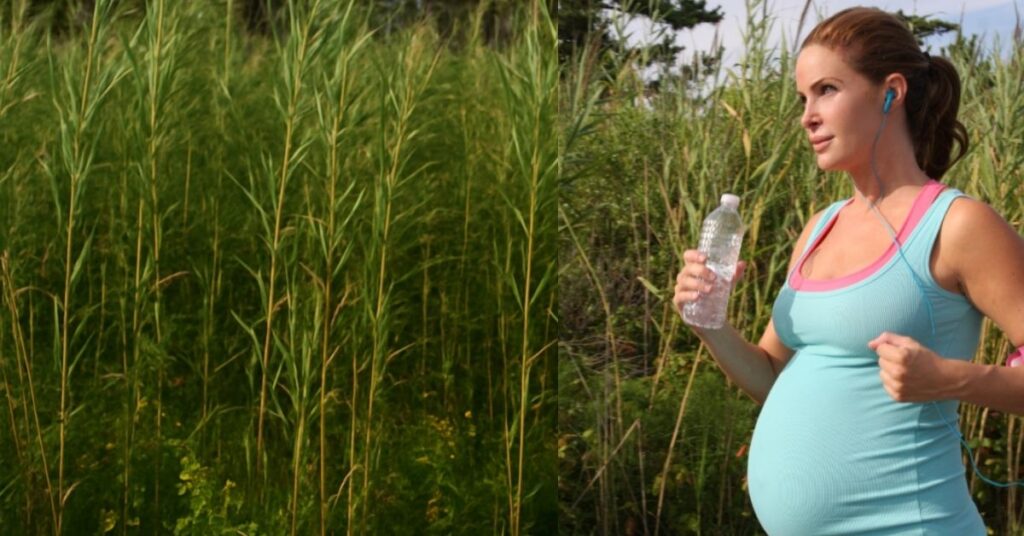 Hip Pain During Pregnancy